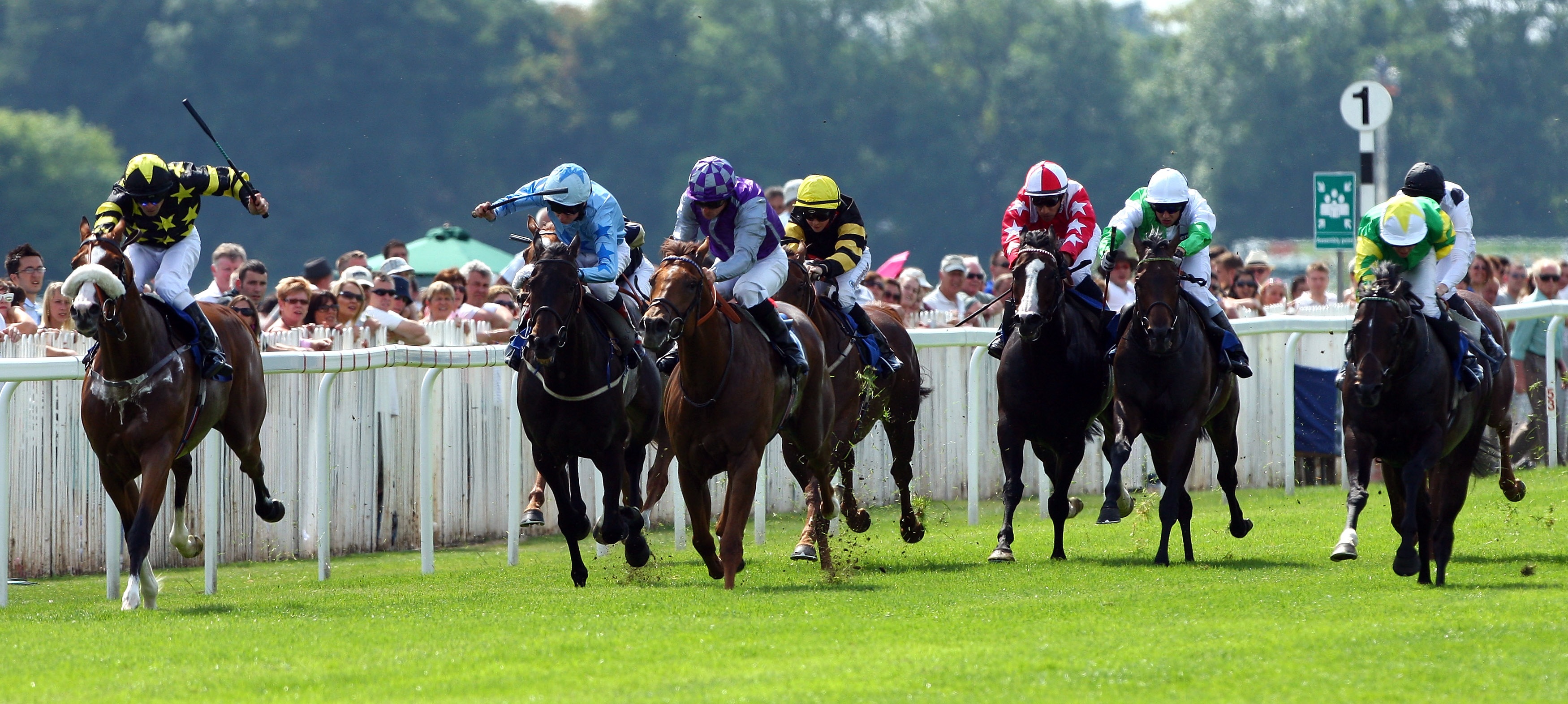 online horse racing betting uk guide